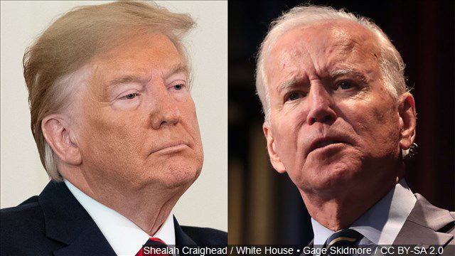 Trump Biden